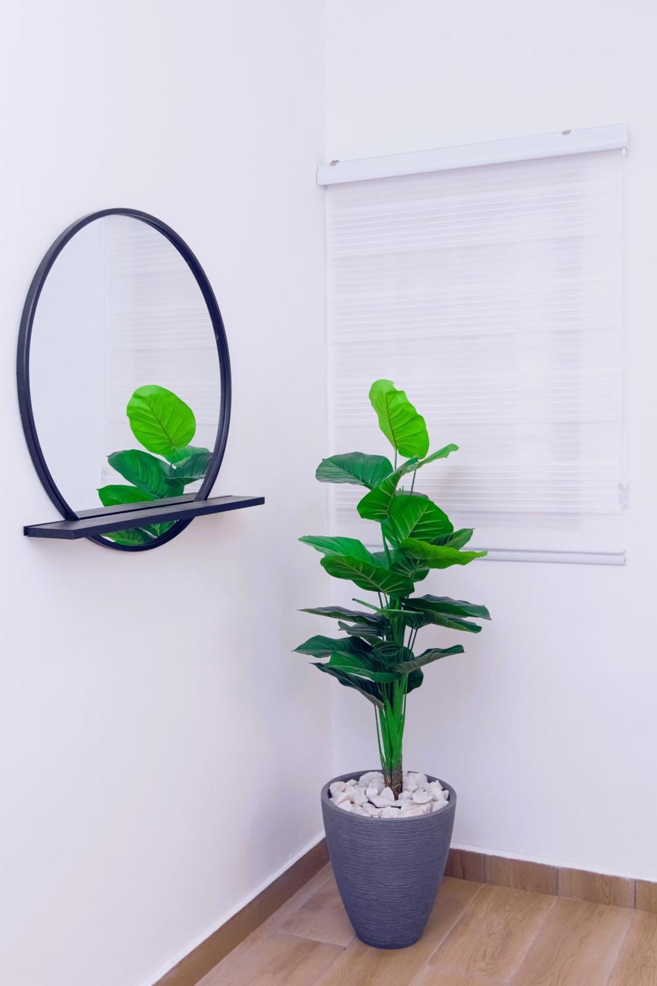 Luna Loft Tema Luaran gambar
